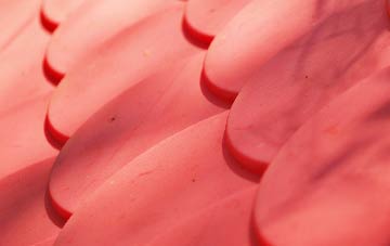 Aird Mhor plastic roof costs